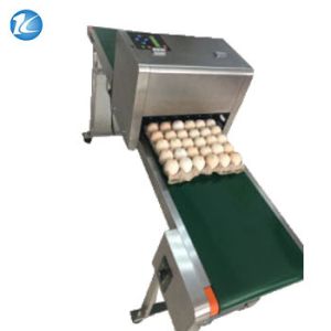 Automatic Egg Inkjet Date Code Printer , Inkjet Marking Equipment
