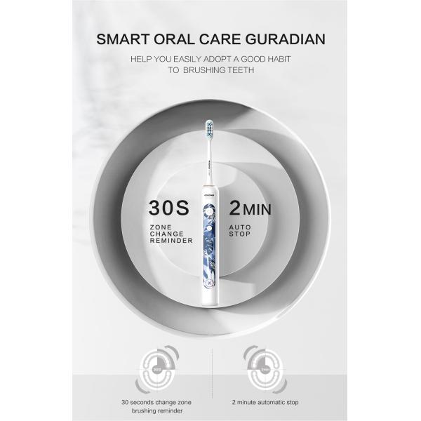 2024 Wholesale Sonic Whitening Electric Toothbrush For Adults, With 2 Dupont Brush Heads