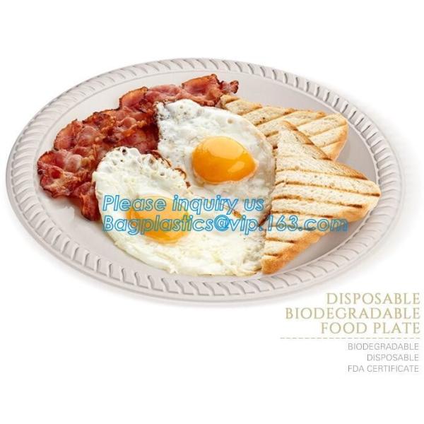 100% Biodegradable, 100% Compostable PLA Drinking Straws pla biodegradable drinking straw wholesale,Corn Starch Biodegra