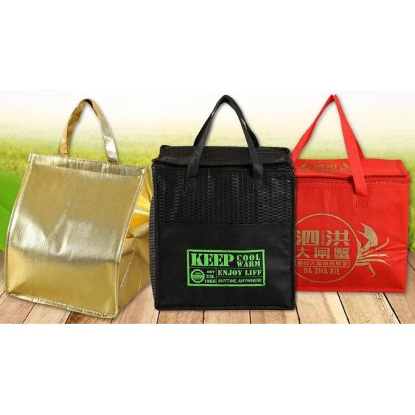 Freezer Bags Color Cold Insulation Waterproof Convenient Portable Ice Meal Packages Refrigerator Cooler Lunch Bag bageas
