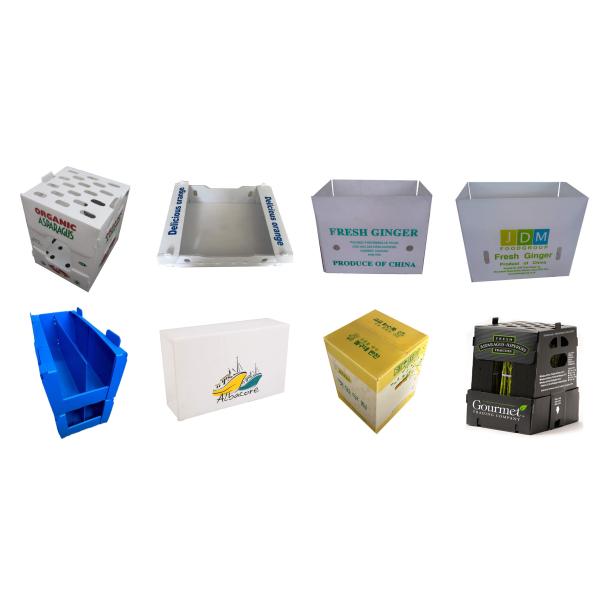 Polypropylene Vegetable Packaging Box Customized PP Corrugated Plastic Box