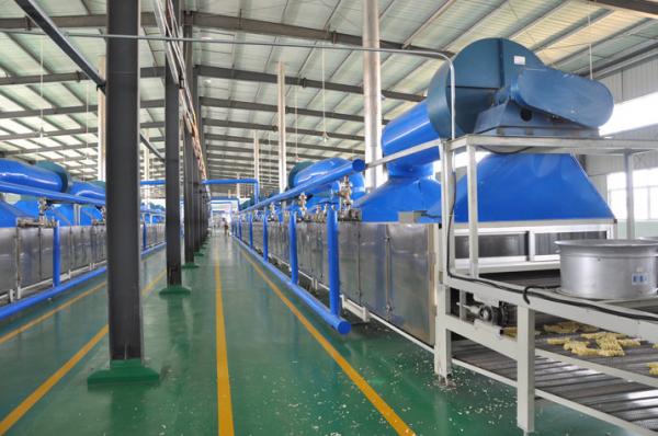 Quality Customized Non-Fried Instant Noodle Machinery Processing Line wholesale