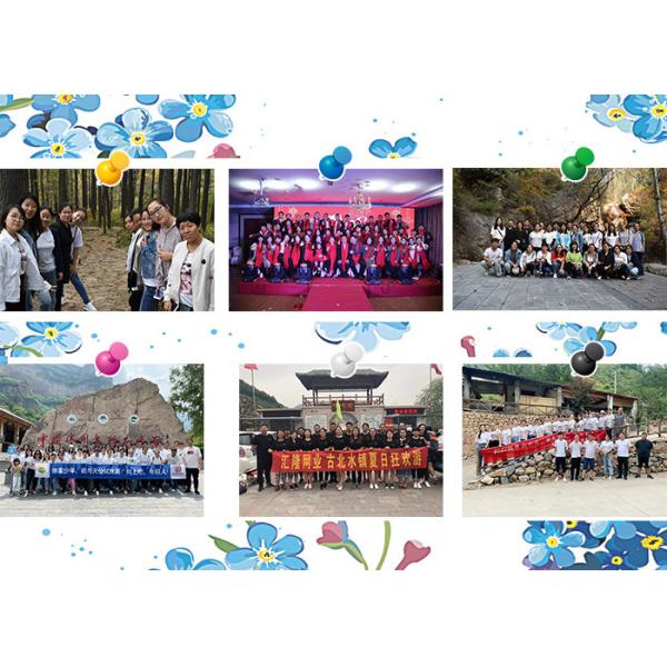 Clipped Concertina Razor Wire Galvanised Steel 300 MM Concertina Fencing