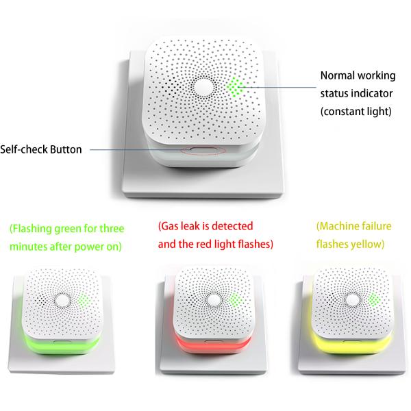 OEM ODM Gas Alarm Detector CH4 Methane LPG Propane Double For Home Security