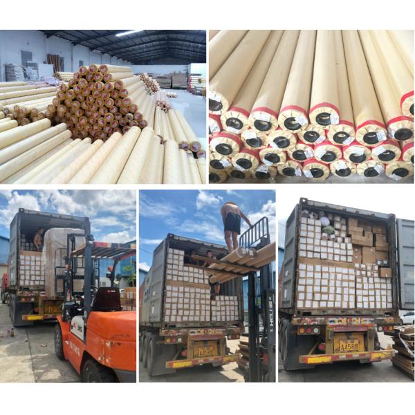 Eco Solvent Self Adhesive Paper Roll Photo Glossy