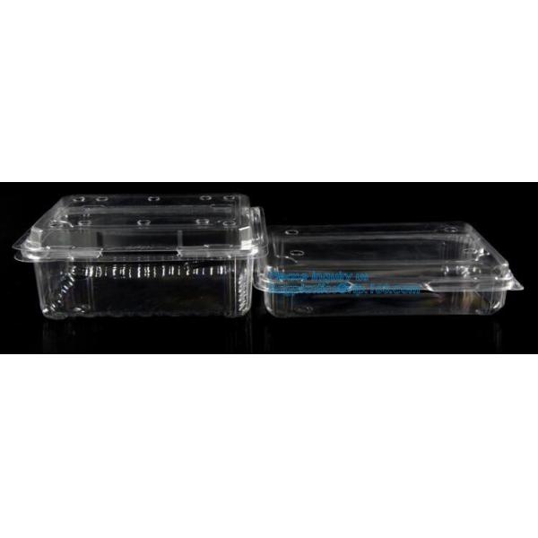 100% Biodegradable, 100% Compostable PLA Drinking Straws pla biodegradable drinking straw wholesale,Corn Starch Biodegra