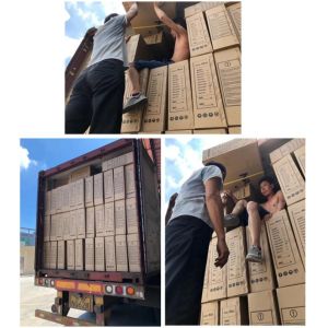 Dongguan Huijiu Bike Industry Co., Ltd.