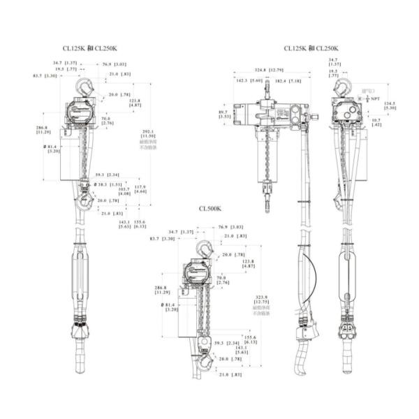Versatile and Precise Electric Chain Hoist for Heavy Industries and Equipment Manufacturing