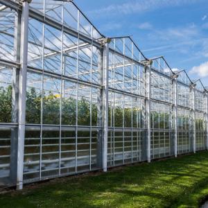 Cheap Hydroponic Growing System Agricultural Solar Glass Greenhouse For Vegetables for sale