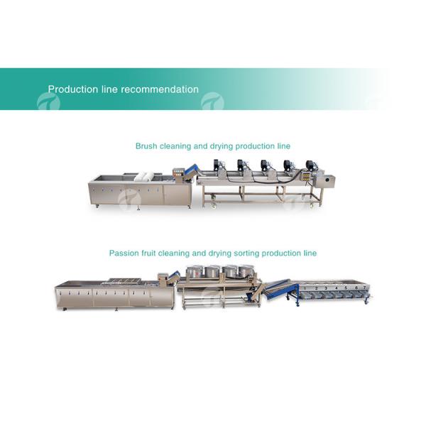 Circulating Hole Fruit Processing Line , Tengsheng Roller Conveying Vegetable Processing Line