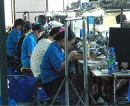 Computer 3M Utp Cat5E Patch Cord Ethernet Copper Pass Fluke Purple