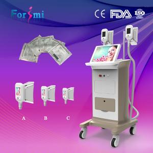 China Best non invasive cryolipolysis liposuction slimming beauty machines for women and men on sale