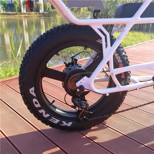 20 Inch Wheel Off Road Electric Mountain Bikes Wattage > 500w With Comfortable Seat