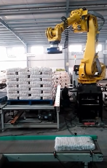 Automatic Spaghetti Box Palletizing Robot Three Servo Motor Control AC220V