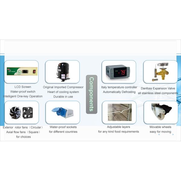 Hot Sale Commercial Fast Cooling Automatic Blast Freezer Cabinet with good quality for fish