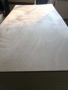Cheap 18mm Okoume Commercial Plywood Sheets/Bintangor Veneer Fancy plywood for sale