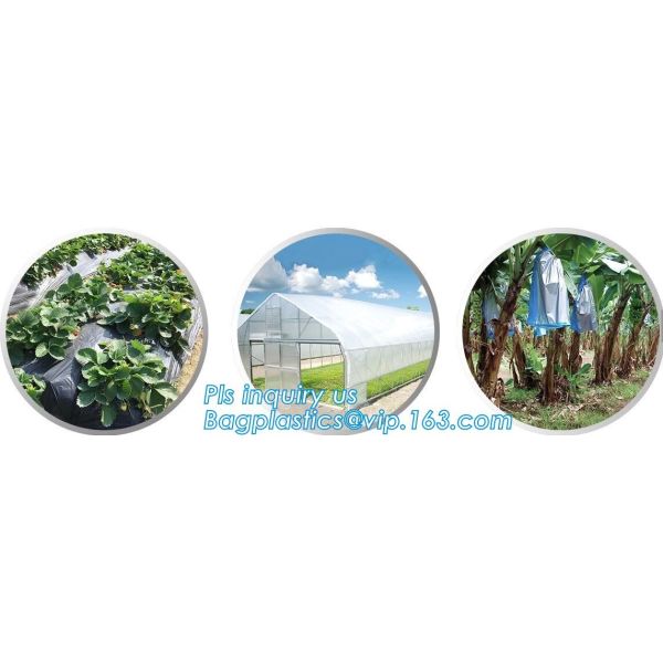 PE Moisture Proof Plastic Pallet Cover, POLYETHYLENE SHRINK PALLET COVERS, Europallet 80x120x250 cm, bagplastics, bageas