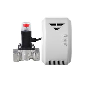 Buy cheap 220V AC CH4 Gas Detector 50 / 60Hz Intelligent Protection Of Family Safety from wholesalers