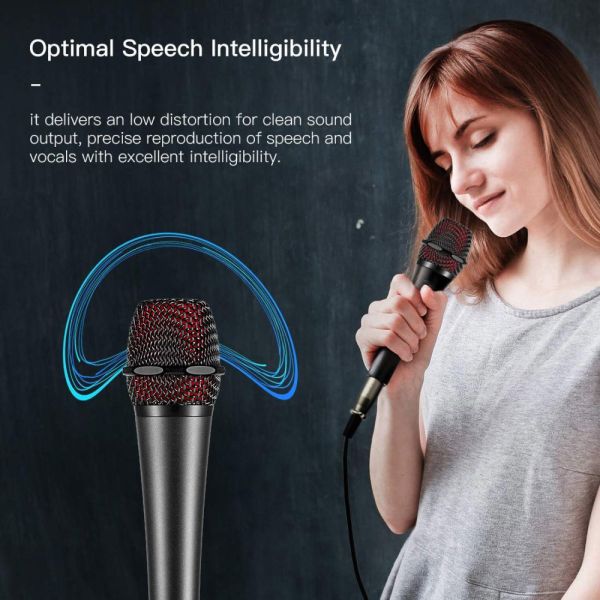V3 Condenser Mics