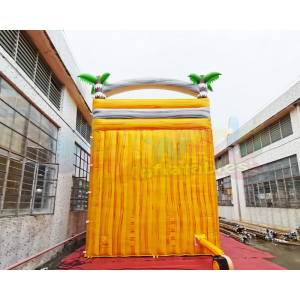 ODM Outdoor Inflatable Water Slides Giant Long Palm Tree Bounce House