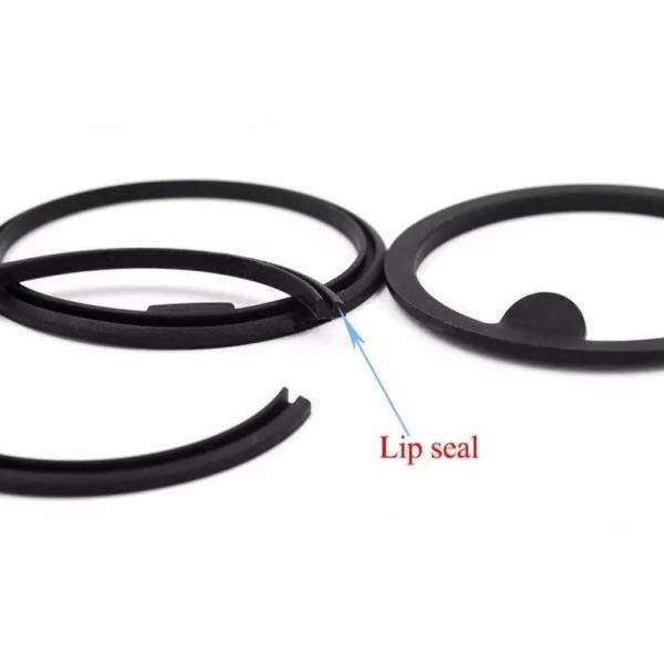 Customized Double Lips FKM Silicone Rubber Lip Seal