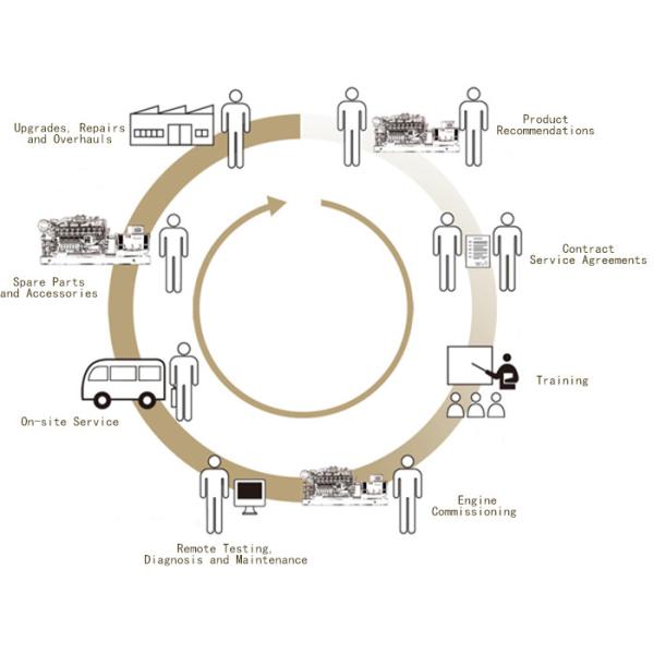 Intake Valve for Weichai Diesel Engine Wd615/618/10/12/13 Wp2/Wp3/Wp4/Wp6 226 Series