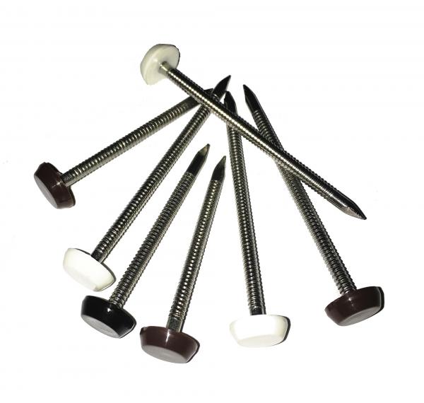 Quality Plastic Head Stainless Steel Nail with ring shank wholesale