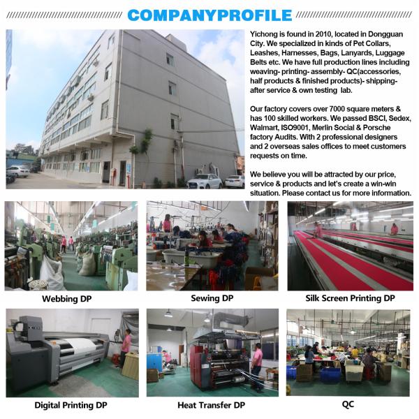 Durability Polyester Dog Collar