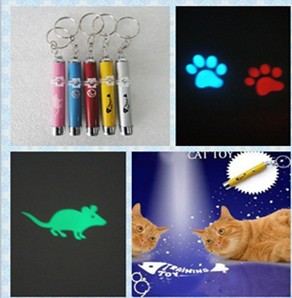 LED Pointer for cat