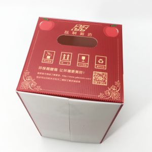 Cheap Chinese Red Abrasion Resistance Non Toxic Anti Impact Apple Carton 20Kg for sale