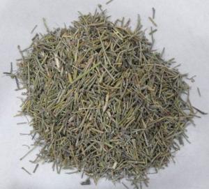 Cheap New havest ma-huang Chinese Ephedra equisetina Bge dried plants with high content for sale