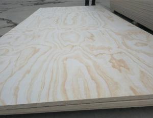 China plywood pine fancy plywood 18mm from SHOUGUANG QIHANG INTERNATIONAL TRADE CO.,LTD on sale