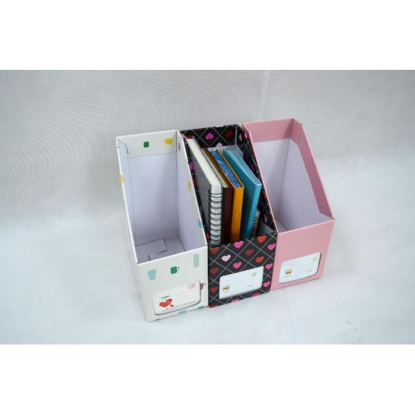 Minimalist Design Office Organizer and Magazine Storage Solution for Office Management