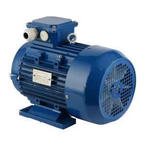 China Double Cage Rotor Induction Motor on sale