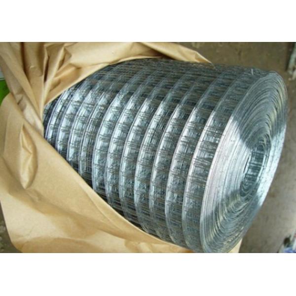 Electric Fusion Galvanised Welded Mesh Rolls Stainless Steel Wire 19 X19x1.6mm Dia