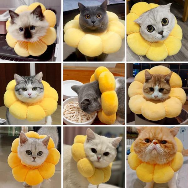 Cat Elizabeth Ring Warm Anti Licking Pet Training Collars Yellow