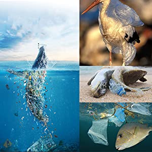 Cornstarch Based Compostable Pet Waste Bags, Eco-Friendly Compostable Pet Poop Bag, Safe Dog Waste Bag, Biodegradable Po