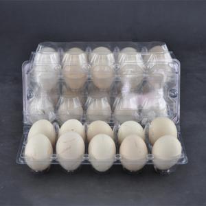 Cheap 10 Cavities Clear Plastic Egg Cartons PET Disposable Egg Plastic Box Clear for sale