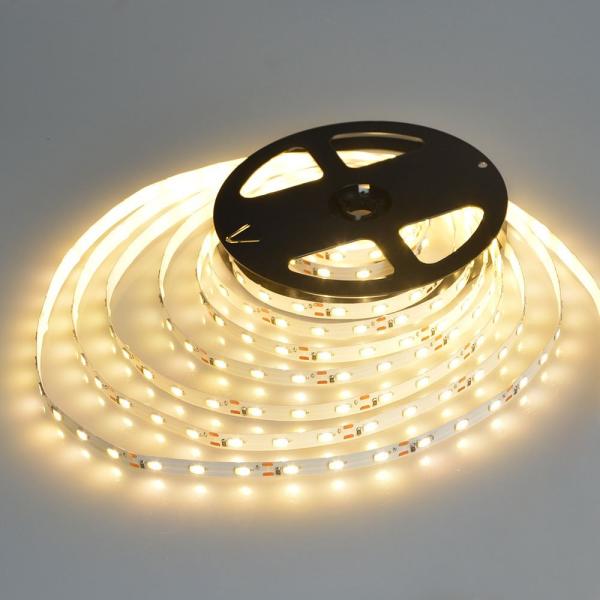 60leds/m Warm White RGB 5050 Waterproof 220V 110V IP67 High Voltage LED Flexible strip light