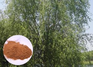 Cheap Salicin 98% White Willow Bark Extract , White Willow Bark Powder CAS 138 52 3 for sale