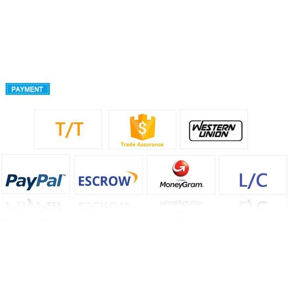 ROHS 4 Heads RGB Animation Laser Projector With Multi Operation Mode