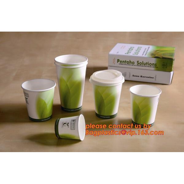 ripple wall / double wall / single wall disposable coffee paper cup with lids, 8OZ, 12oz 14 OZ cup,paper cup disposable