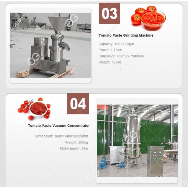 300 Kg Per Hour For Industrial Use Tomato Processing Machine Tomato Processing Equipment Price