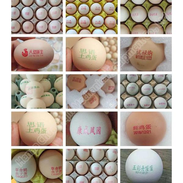 High Speed Expiry Date Egg Printing Machine Chicken Large Egg Coding Machine 48500 Eggs/H