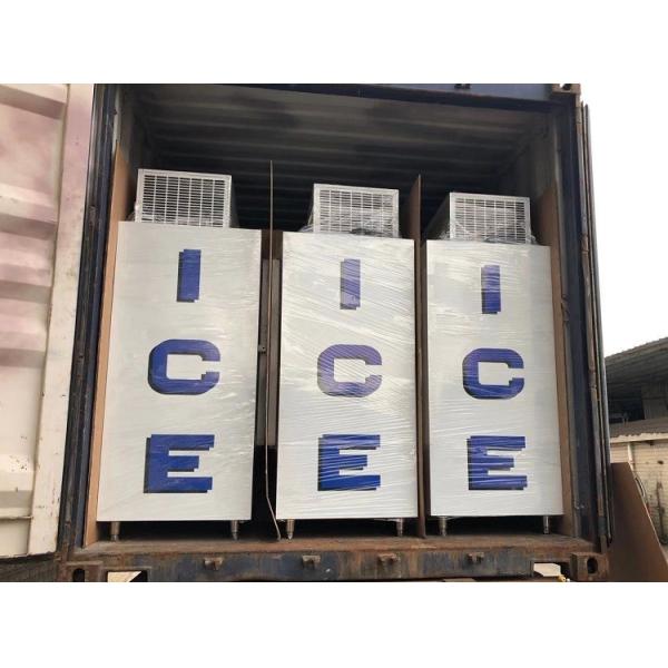 42 Cu. Ft. Indoor Ice Freezer Customized Logo , Outdoor Cold Wall Ice Merchandiser