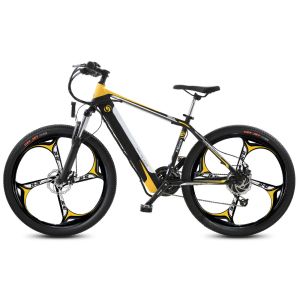 27kg 750 Watt Electric Mountain Bike 48V Mountain Bike With Battery Assist