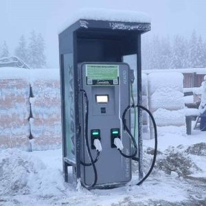 Cheap Commercial 120kw Electric Vehicle Supply Equipment IP55 EV DC Fast Charger 60HZ for sale