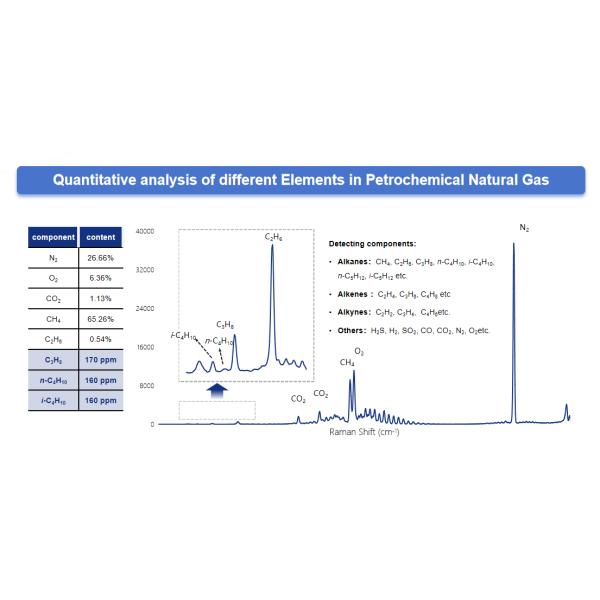 High Performance Raman Spectroscopy Gas Analyzer Simultaneous For Scientific Research