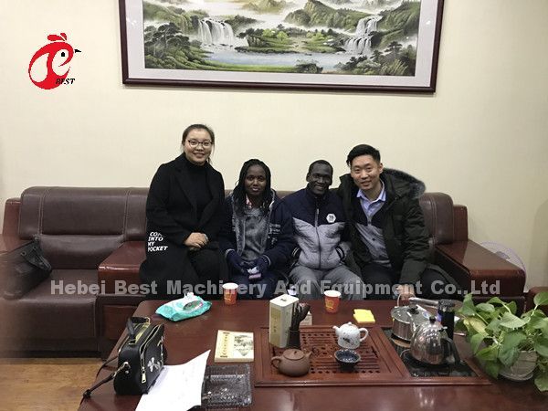 Professional Layer Battery Cage Install In Nigeria Automatic Chicken Cage Doris