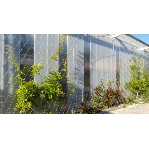 Flexible Inox Wire Rope Plant Trellis , Plant Climbing Green Wall Mesh